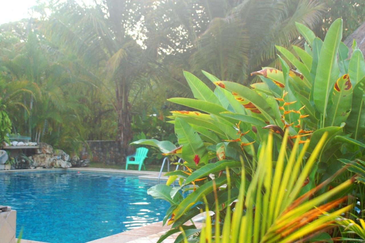 Axkan Palenque, Shows En Vivo & Gastronomia Mar Y Tierra & Travel Agency Exterior photo